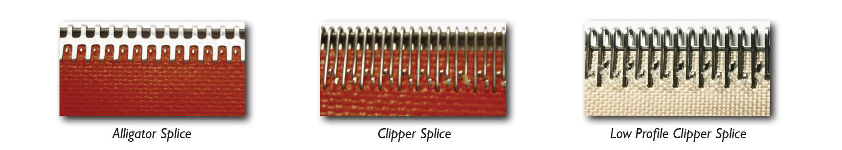 Uploaded Image: /uploads/images/Metallic Splices.PNG